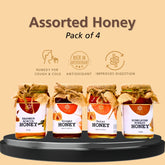 Nature's Ambrosia Honey:  Pure Golden Elixir - Pack of 4